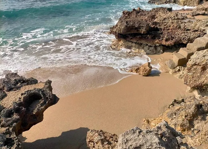 A Casa Di Patty 아파트 *